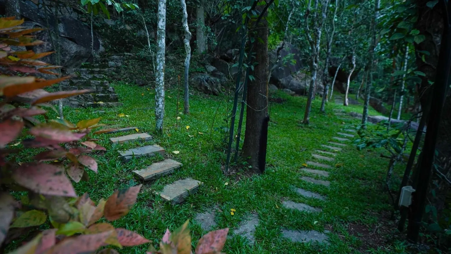 Mount Xanadu Resorts Ambalavayal