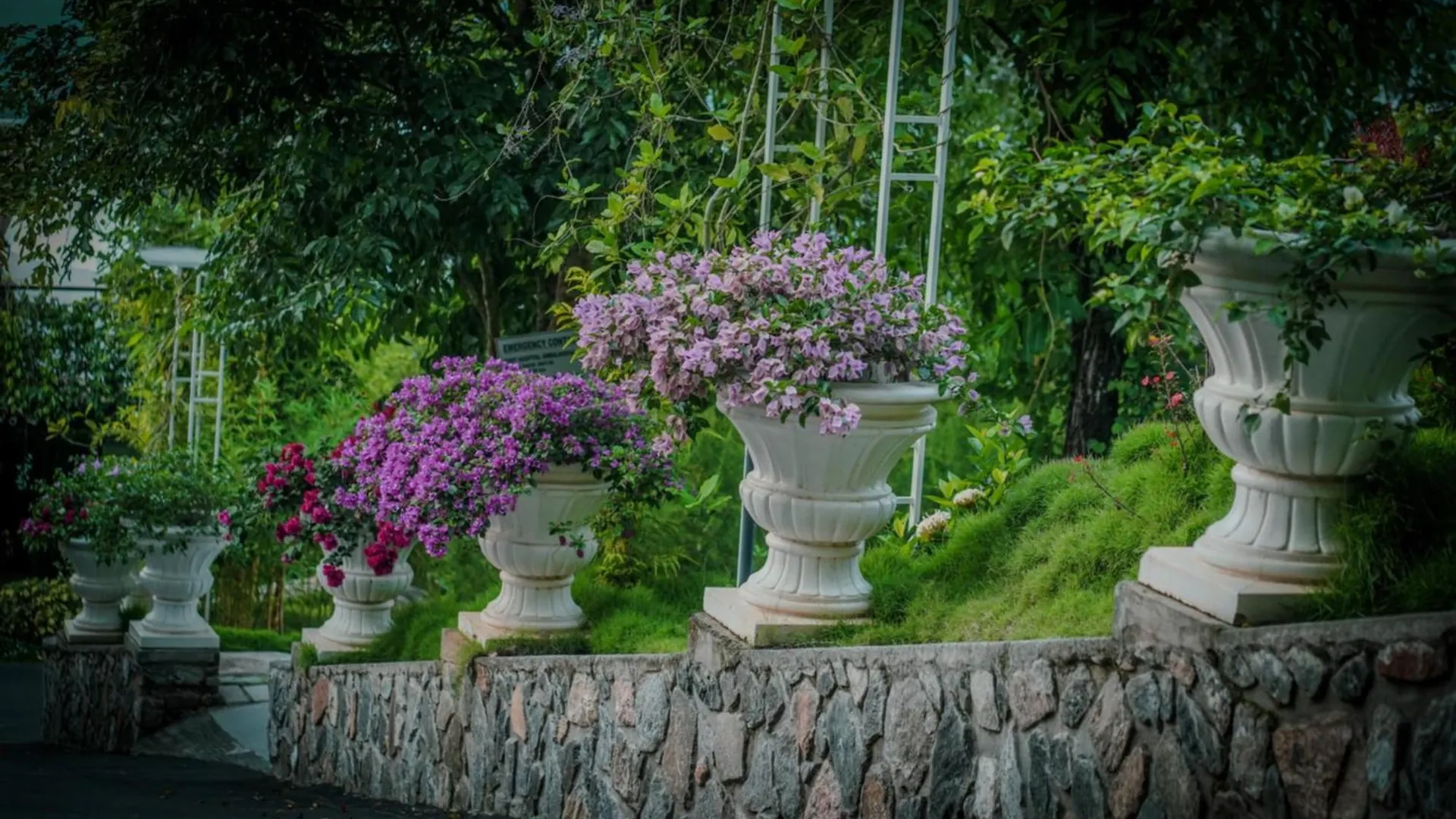 Mount Xanadu Resorts Ambalavayal